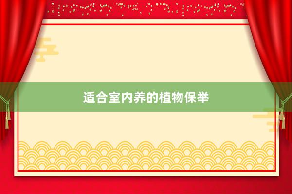 适合室内养的植物保举