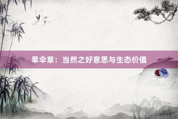旱伞草：当然之好意思与生态价值