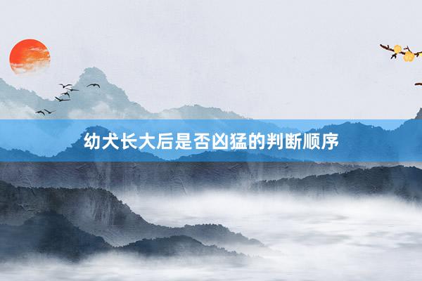 幼犬长大后是否凶猛的判断顺序