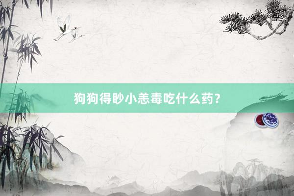 狗狗得眇小恙毒吃什么药？