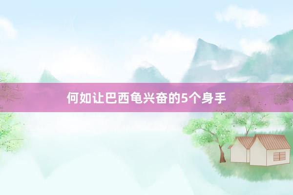何如让巴西龟兴奋的5个身手