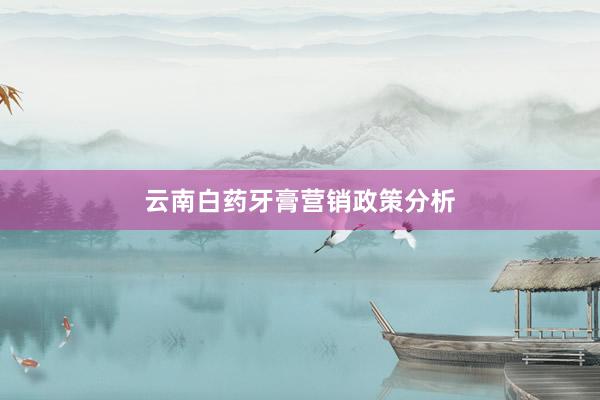 云南白药牙膏营销政策分析